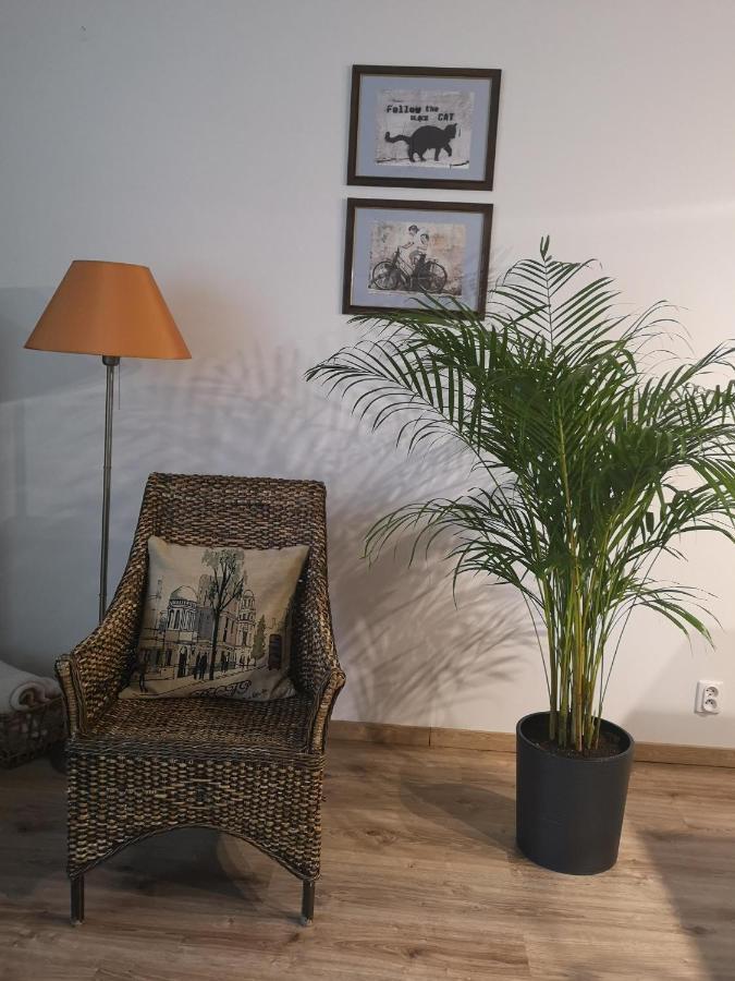 Villa Garden Paryski Όλστυν Εξωτερικό φωτογραφία